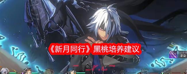 《新月同行》黑桃培养建议-第1张-手游攻略-GASK