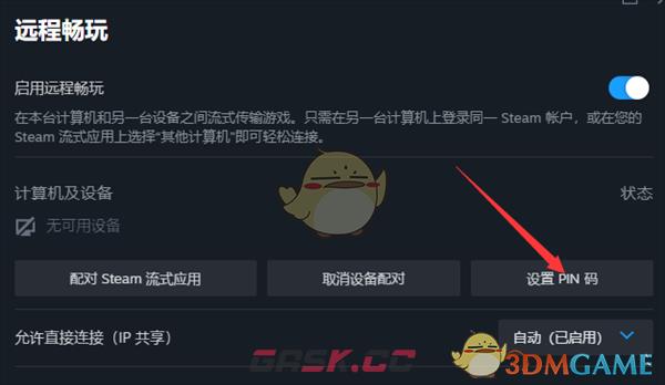 《steam》设置流式传输pin码教程-第6张-手游攻略-GASK