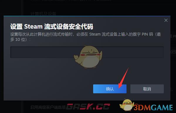 《steam》设置流式传输pin码教程-第7张-手游攻略-GASK