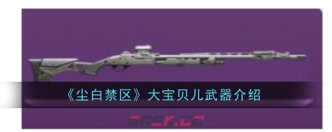 《尘白禁区》大宝贝儿武器介绍-第1张-手游攻略-GASK
