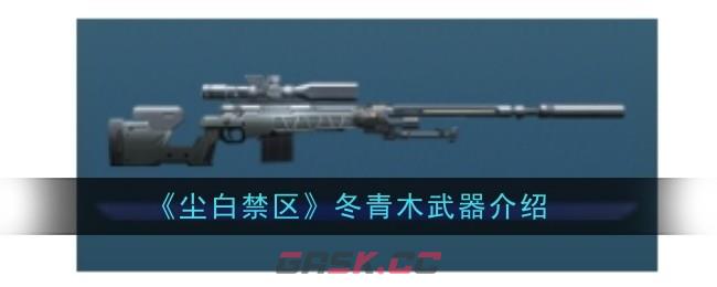 《尘白禁区》冬青木武器介绍-第1张-手游攻略-GASK