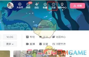 《哔哩哔哩》开启记录历史记录方法-第3张-手游攻略-GASK