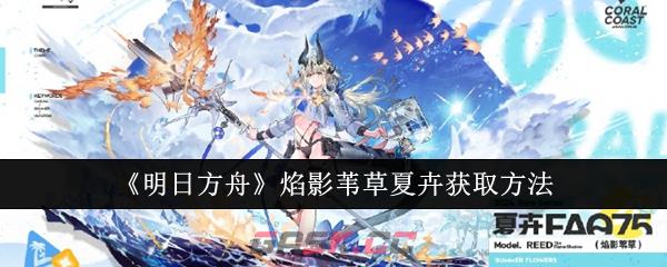 《明日方舟》焰影苇草夏卉获取方法-第1张-手游攻略-GASK