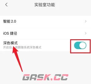 《米家》深色模式设置方法-第4张-手游攻略-GASK