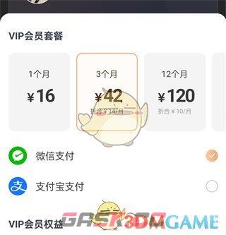 《铃声多多》vip会员价格介绍-第2张-手游攻略-GASK