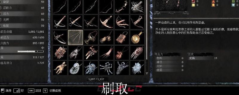 《堕落之主》苦痛之光怎么得到-第1张-单机攻略-GASK