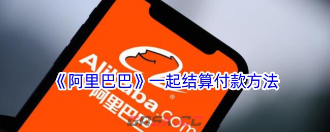 《阿里巴巴》一起结算付款方法-第1张-手游攻略-GASK