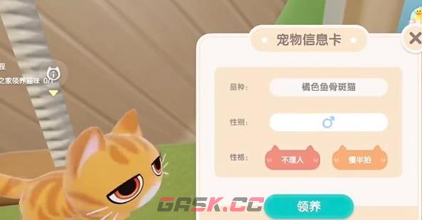 《心动小镇》养猫攻略一览-第2张-手游攻略-GASK