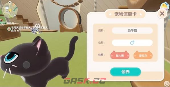 《心动小镇》养猫攻略一览-第3张-手游攻略-GASK