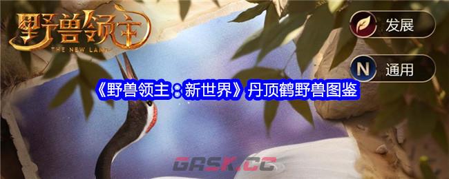 《野兽领主：新世界》丹顶鹤野兽图鉴-第1张-手游攻略-GASK