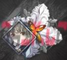 《星落》罗宾技能介绍-第9张-手游攻略-GASK