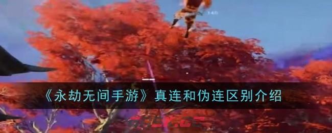 《永劫无间手游》真连和伪连区别介绍-第1张-手游攻略-GASK