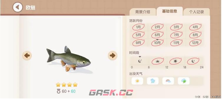 《心动小镇》欧鲢钓鱼时间地点分享-第2张-手游攻略-GASK