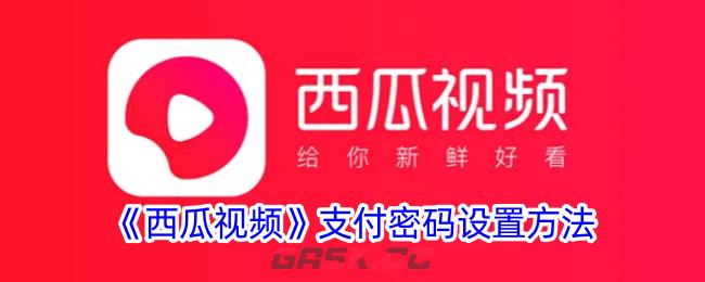 《西瓜视频》支付密码设置方法-第1张-手游攻略-GASK