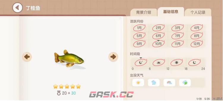 《心动小镇》丁桂鱼钓鱼时间地点分享-第2张-手游攻略-GASK