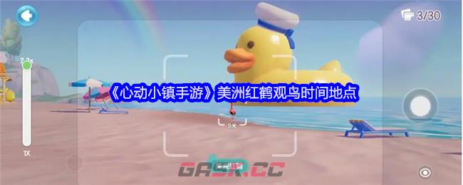 《心动小镇手游》美洲红鹤观鸟时间地点-第1张-手游攻略-GASK