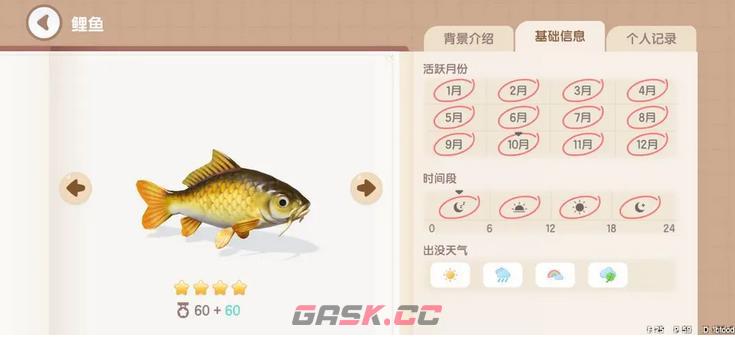 《心动小镇手游》鲤鱼钓鱼时间地点分享-第2张-手游攻略-GASK