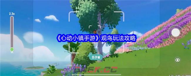 《心动小镇手游》观鸟玩法攻略-第1张-手游攻略-GASK