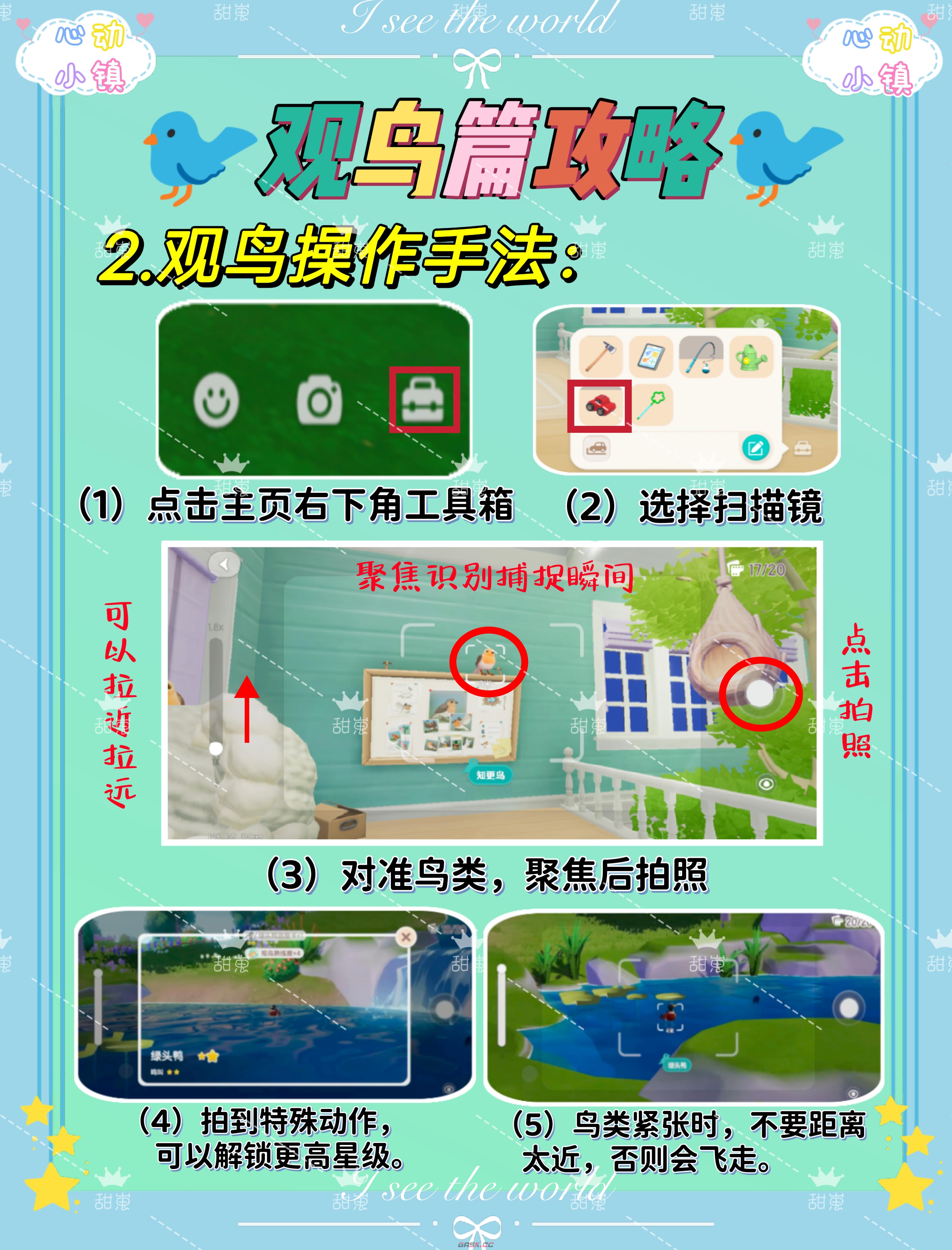 《心动小镇手游》观鸟玩法攻略-第3张-手游攻略-GASK