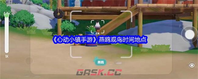 《心动小镇手游》燕鸥观鸟时间地点-第1张-手游攻略-GASK