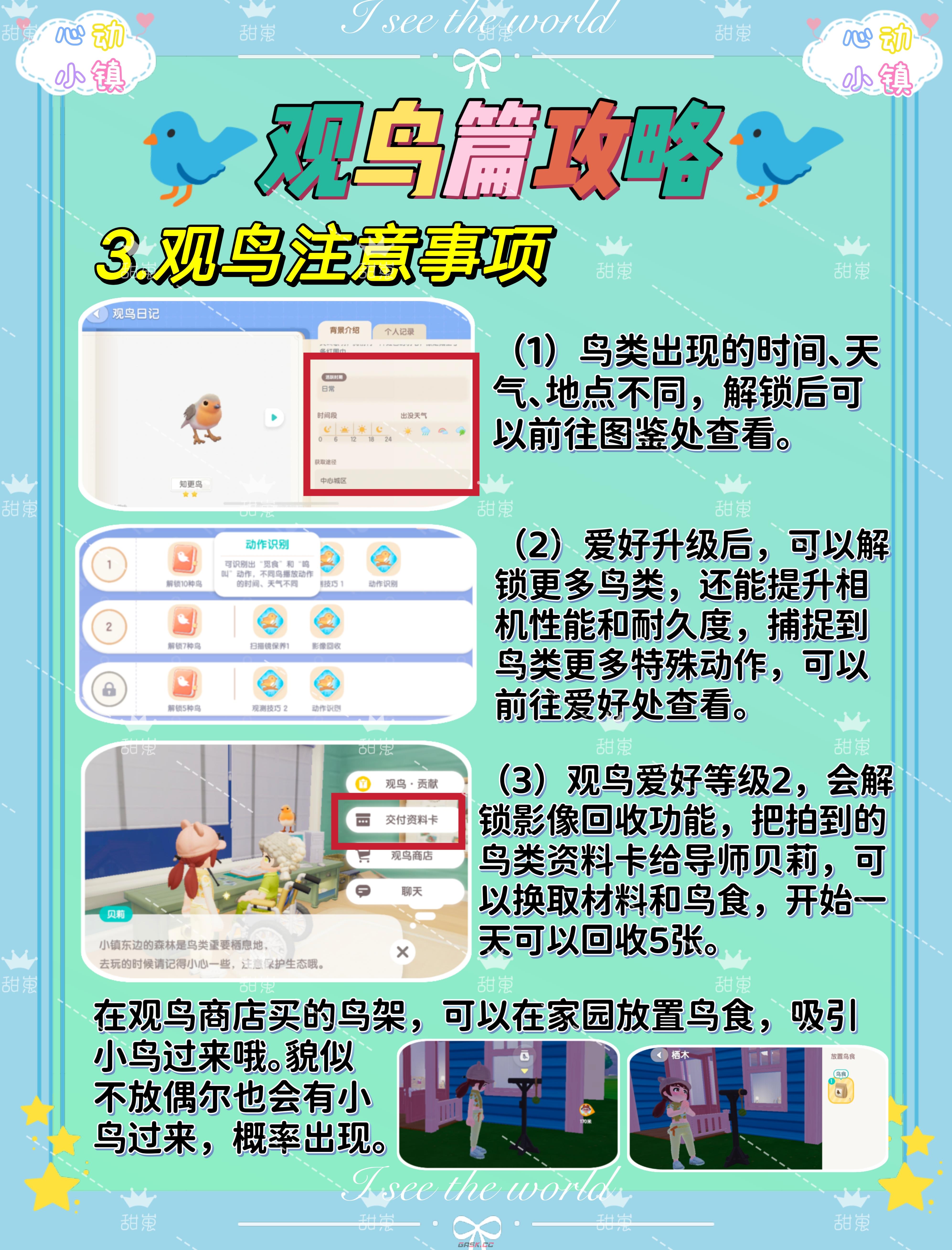《心动小镇手游》观鸟玩法攻略-第4张-手游攻略-GASK