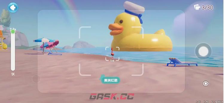 《心动小镇手游》美洲红鹤观鸟时间地点-第2张-手游攻略-GASK