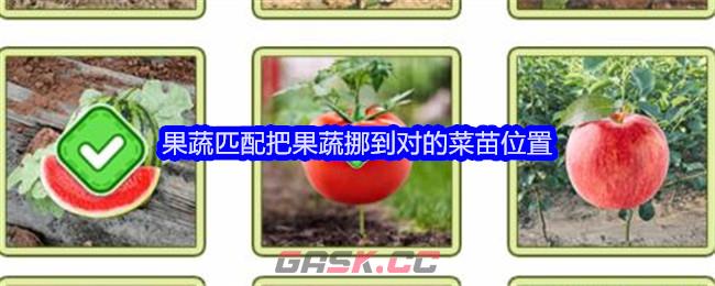 《文字找茬大师》果蔬匹配把果蔬挪到对的菜苗位置通关攻略