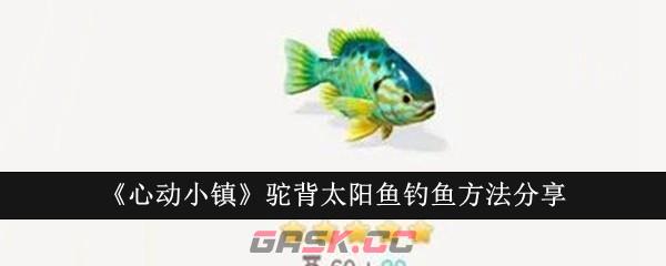 《心动小镇》驼背太阳鱼钓鱼方法分享-第1张-手游攻略-GASK