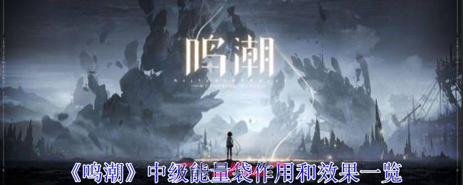 《鸣潮》中级能量袋作用和效果一览-第1张-手游攻略-GASK