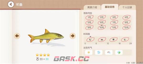 《心动小镇手游》鲃鱼钓鱼方法分享-第2张-手游攻略-GASK