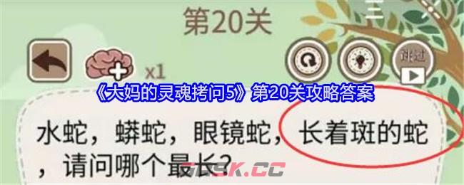 《大妈的灵魂拷问5》第20关攻略答案