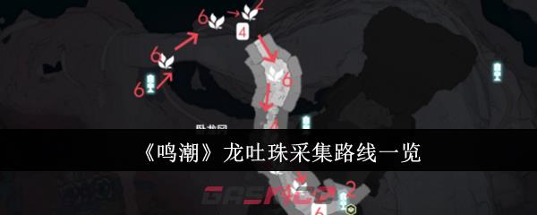 《鸣潮》龙吐珠采集路线一览-第1张-手游攻略-GASK