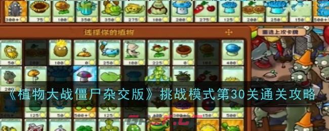 《植物大战僵尸杂交版》挑战模式第30关通关攻略