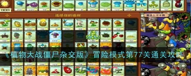 《植物大战僵尸杂交版》冒险模式第77关通关攻略