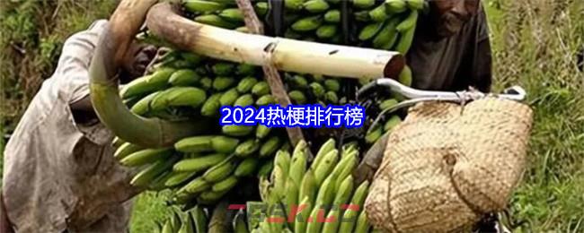 2024热梗排行榜-第1张-手游攻略-GASK