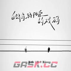 白鸽乌鸦相爱的戏码歌曲歌词分享-第2张-手游攻略-GASK