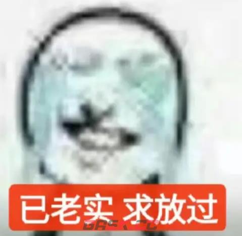 2024热梗排行榜-第2张-手游攻略-GASK