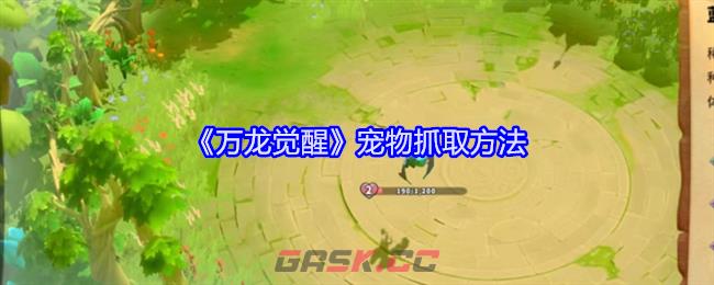 《万龙觉醒》宠物抓取方法-第1张-手游攻略-GASK