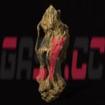 《黑神话：悟空》金趁心能在哪里买到-第2张-单机攻略-GASK