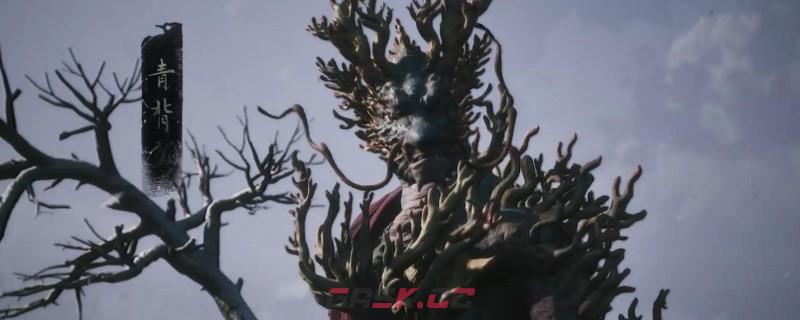 《黑神话：悟空》铁石心作用是什么-第1张-单机攻略-GASK