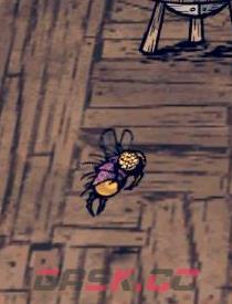 《饥荒海难》毒蚊子打法介绍-第1张-单机攻略-GASK