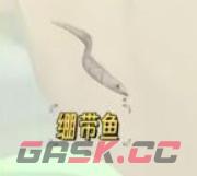 《心动小镇》绷带鱼钓鱼攻略-第2张-手游攻略-GASK