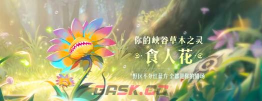 《王者荣耀》9周年庆数据回顾解锁植物介绍-第7张-手游攻略-GASK