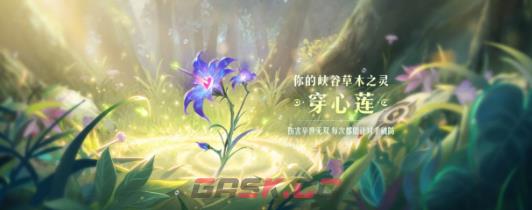 《王者荣耀》9周年庆数据回顾解锁植物介绍-第2张-手游攻略-GASK