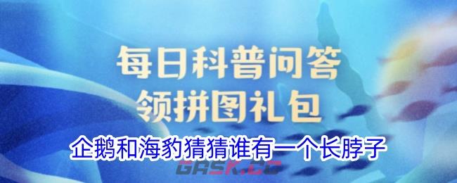 企鹅和海豹猜猜谁有一个长脖子-第1张-手游攻略-GASK