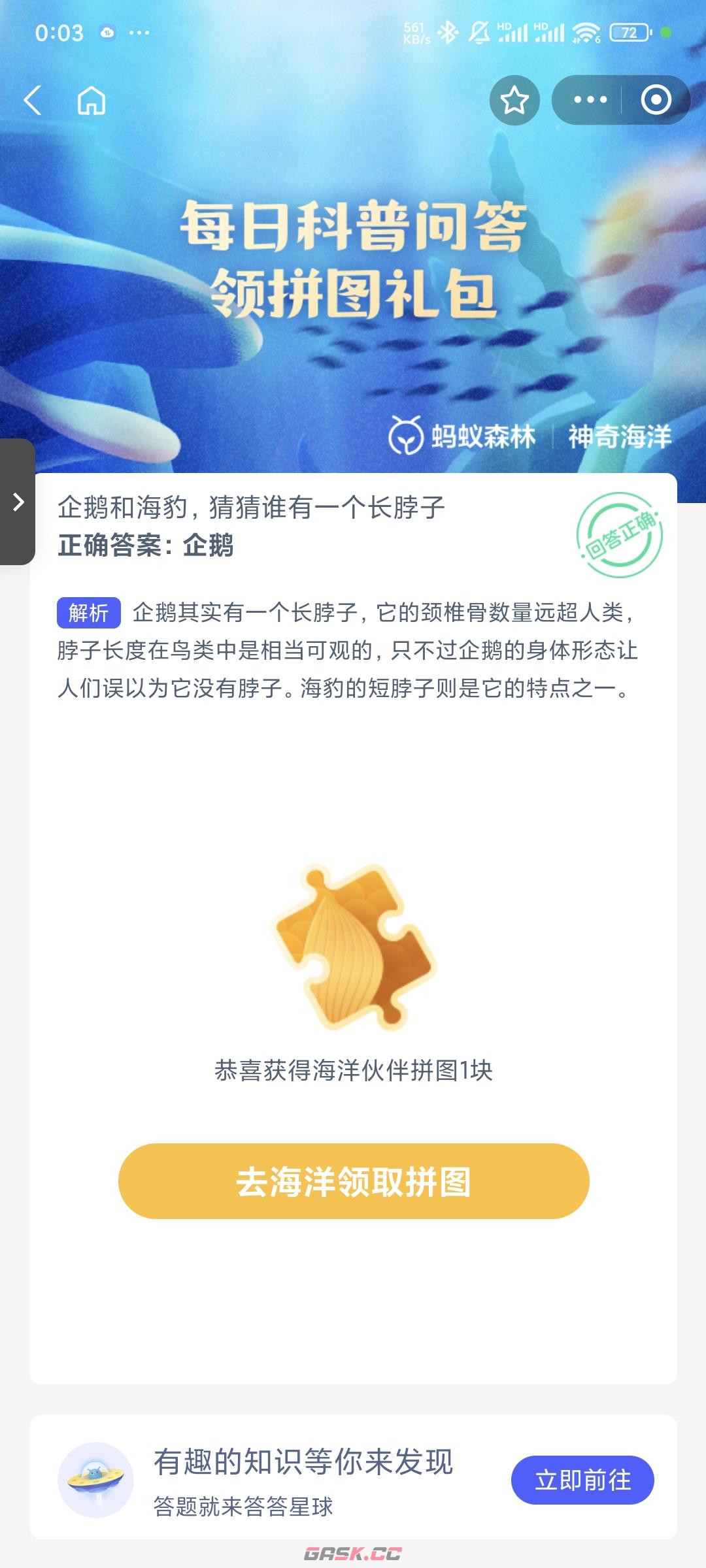 企鹅和海豹猜猜谁有一个长脖子-第2张-手游攻略-GASK