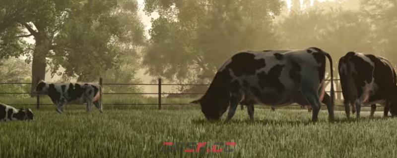 《模拟农场25》游戏游玩平台介绍-第1张-单机攻略-GASK