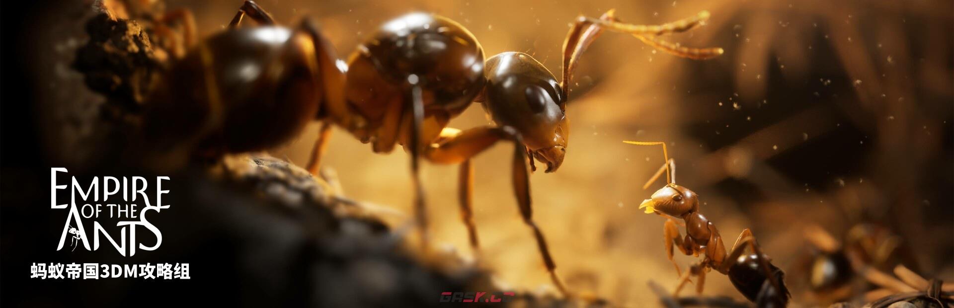 《蚂蚁帝国》全流程图文攻略-第1张-单机攻略-GASK