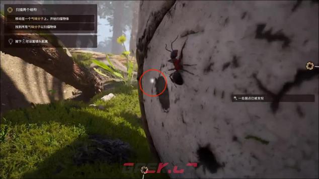 《蚂蚁帝国》全流程图文攻略-第6张-单机攻略-GASK