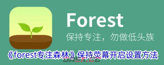 《forest专注森林》保持荧幕开启设置方法